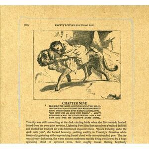 A Silver Mt. Zion - Pretty Little Lightning Paw  CD